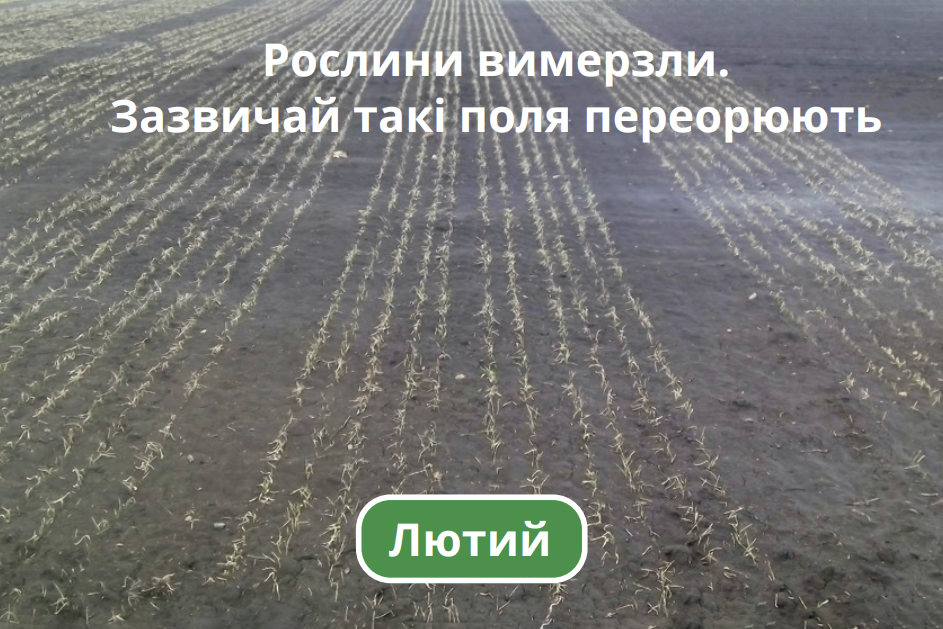 Лютий